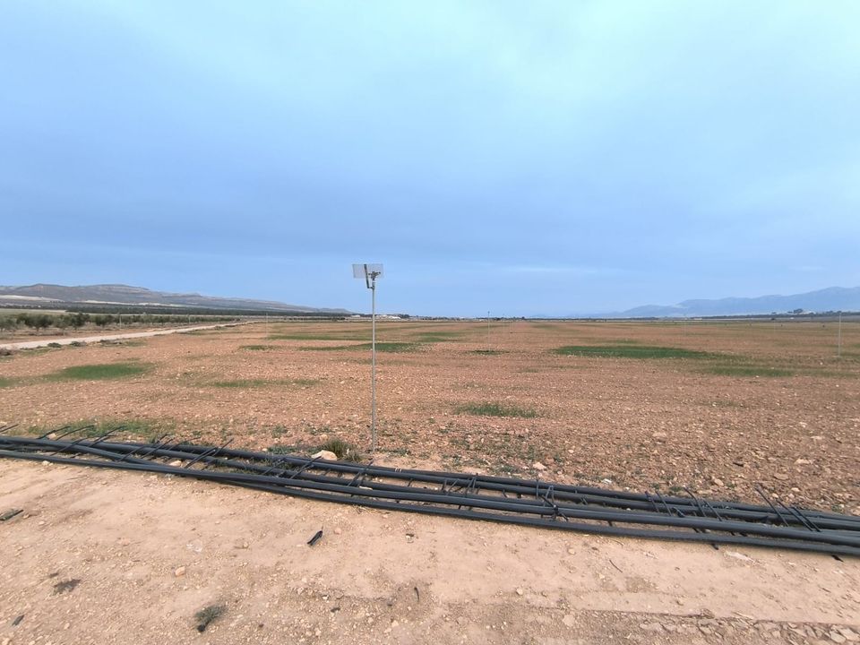 Tomt i Yecla, Murcia - bilde 2