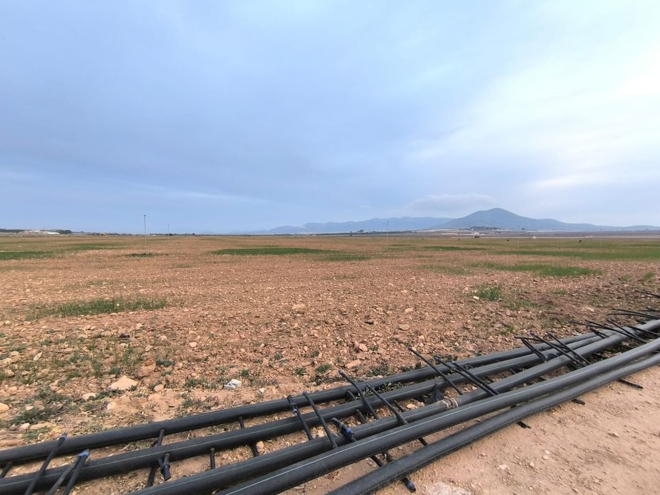 Tomt i Yecla, Murcia - bilde 4