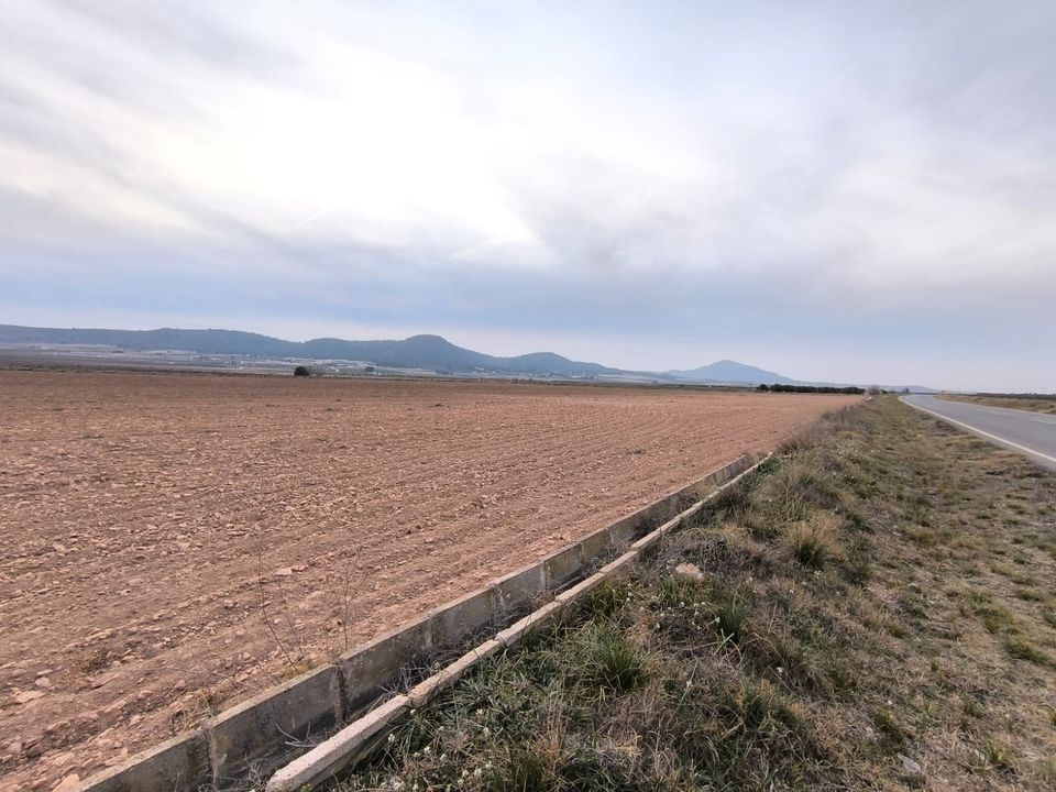 Terra a Yecla, Murcia - foto 1