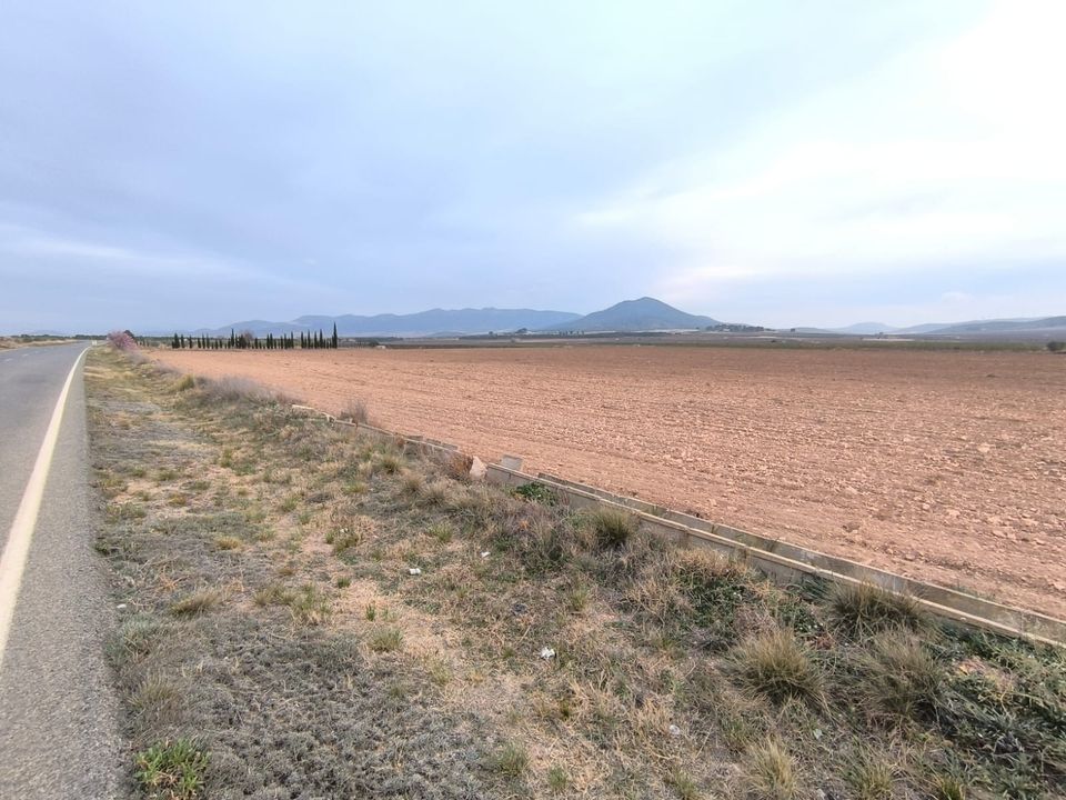 Terra a Yecla, Murcia - foto 2