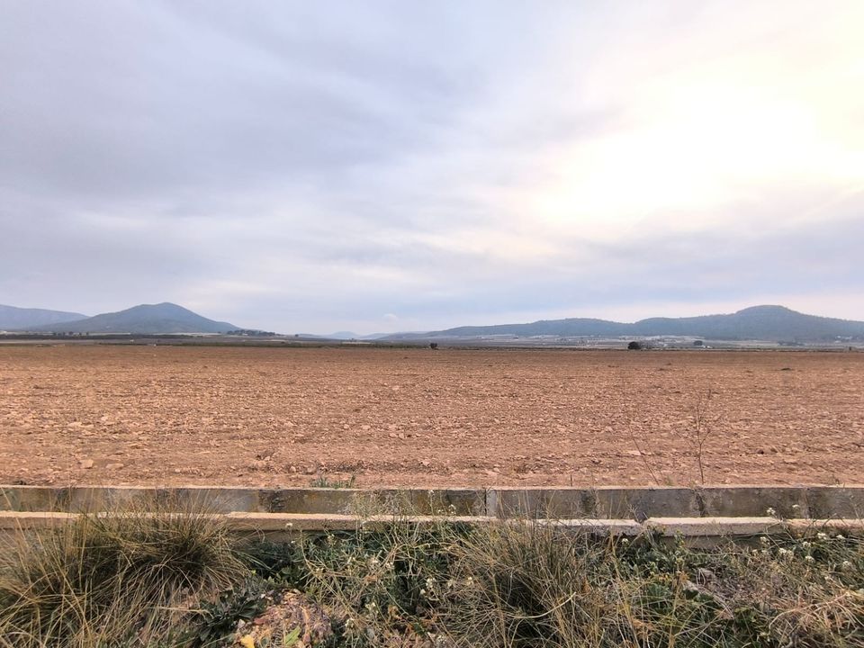 Terra a Yecla, Murcia - foto 3