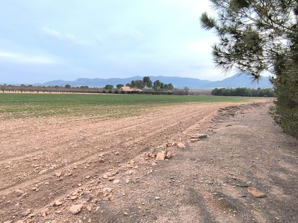 Helårsgrund i Yecla, Murcia - foto 1