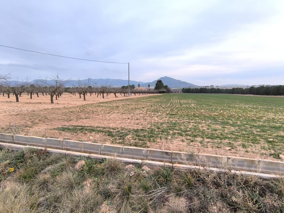 Helårsgrund i Yecla, Murcia - foto 2