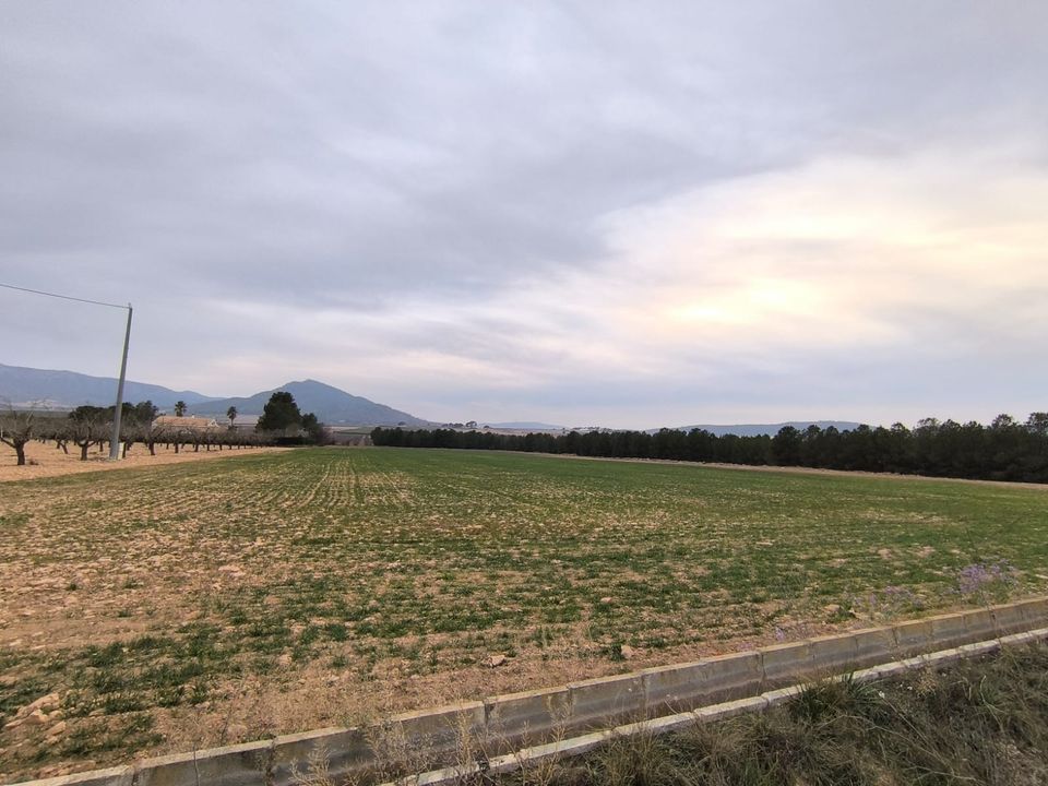Helårsgrund i Yecla, Murcia - foto 3