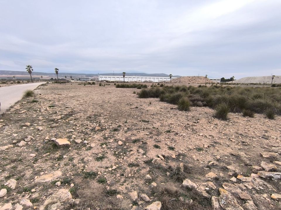 Terra a Yecla, Murcia - foto 1