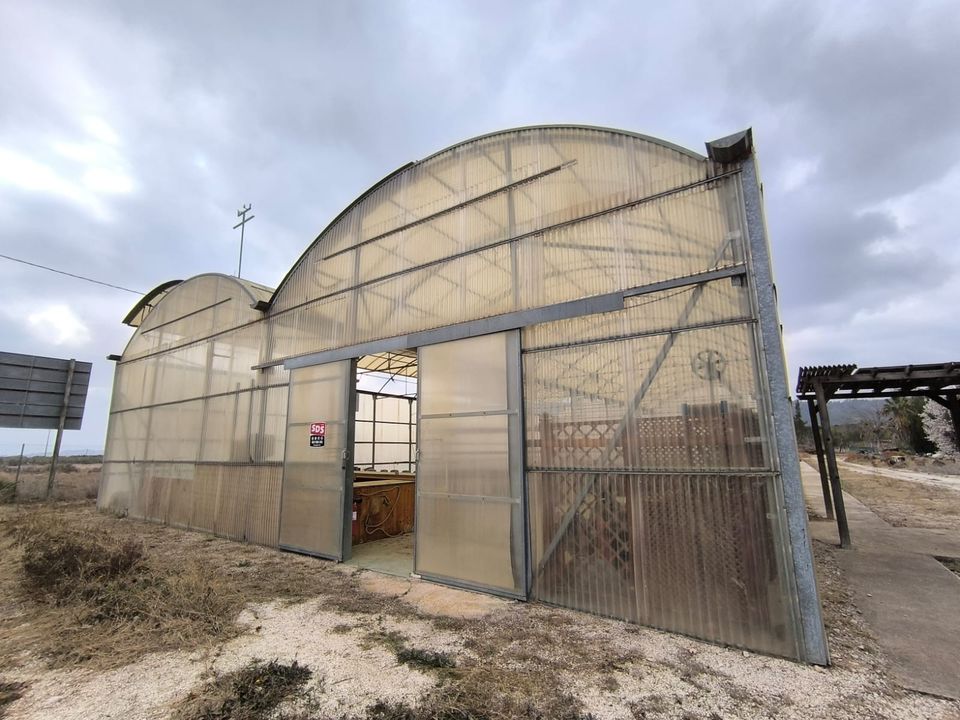 Erhvervsejendom i Aspe, Alicante - foto 4