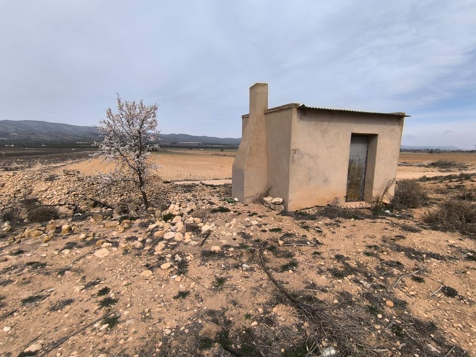 Helårsgrund i Villena, Alicante - foto 3