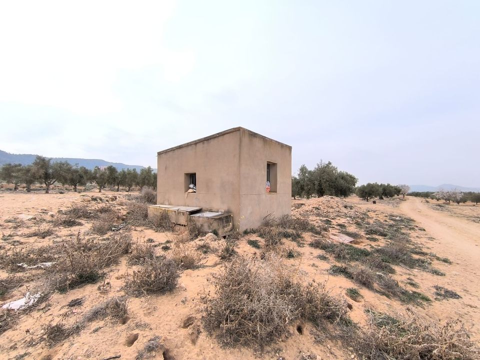 Helårsgrund i Villena, Alicante - foto 5