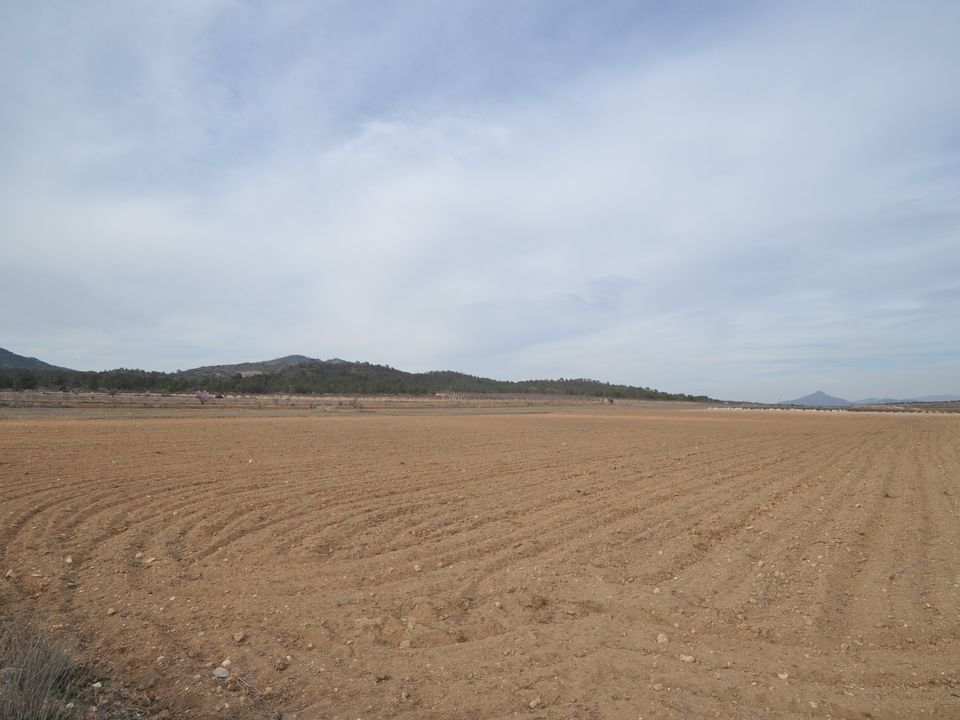 Helårsgrund i Monovar, Alicante - foto 1