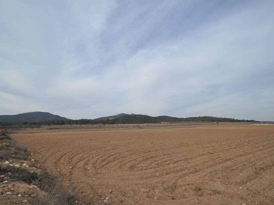 Helårsgrund i Monovar, Alicante - foto 3