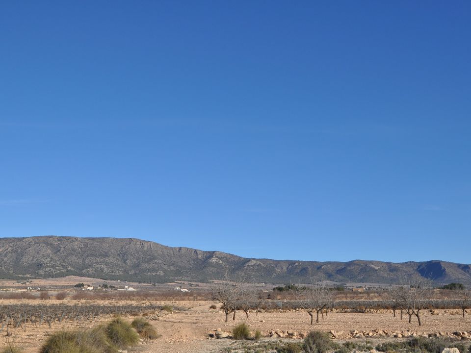 Helårsgrund i Pinoso, Alicante - foto 4