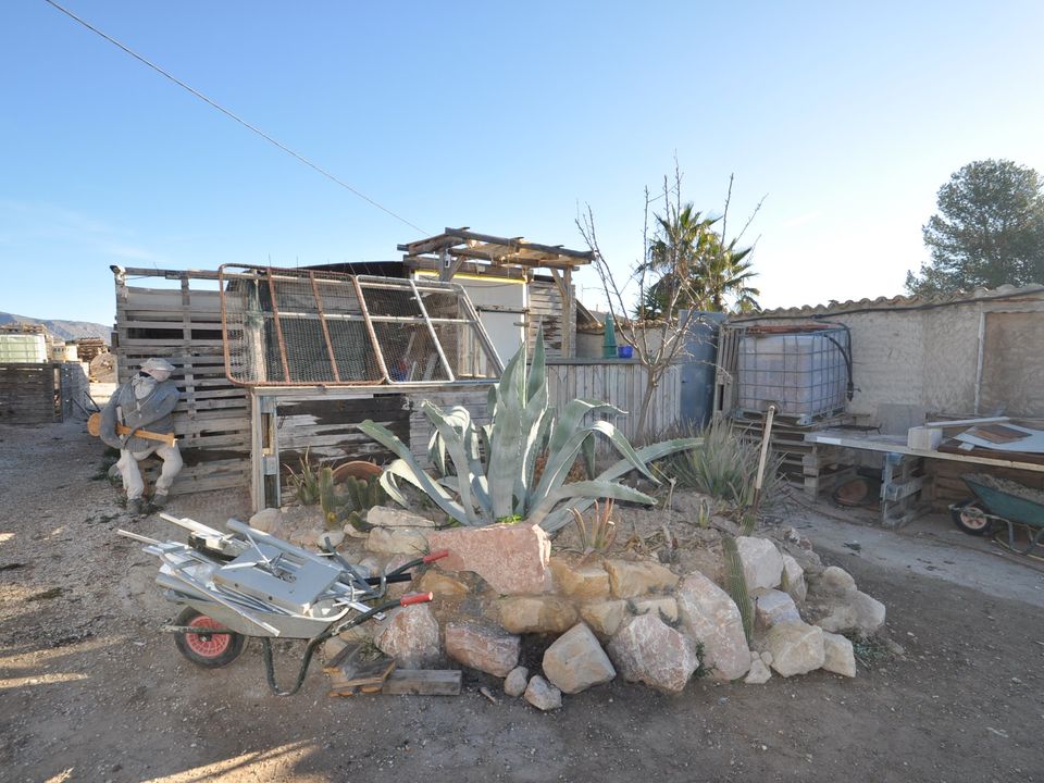 Helårsgrund i Pinoso, Alicante - foto 4
