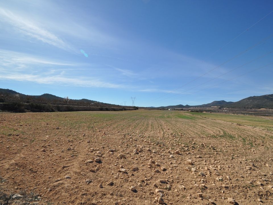 Helårsgrund i Salinas, Alicante - foto 1