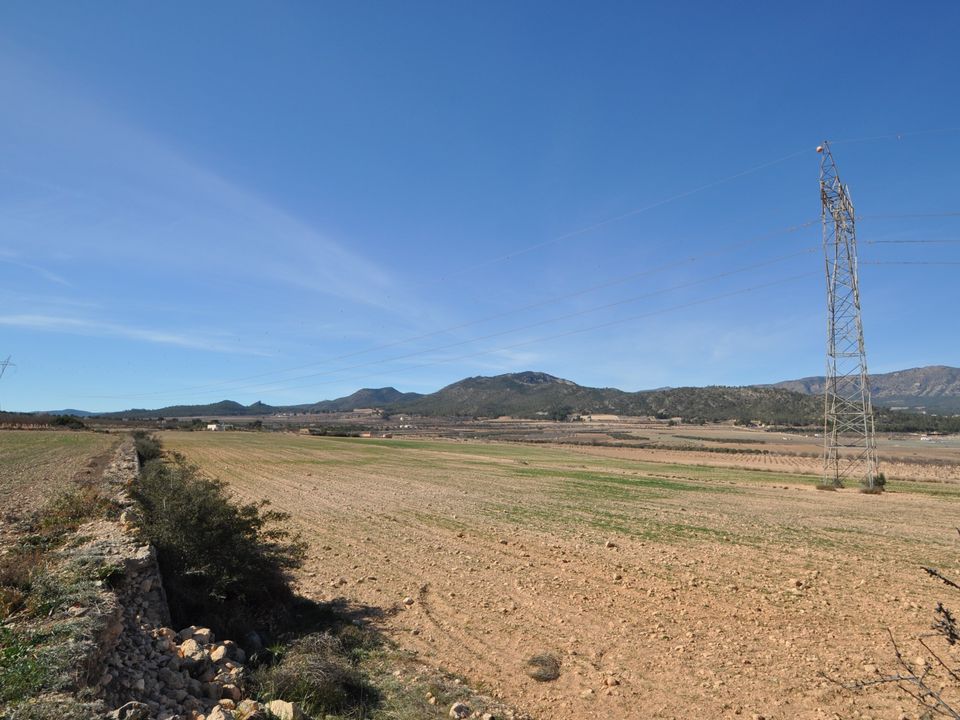 Helårsgrund i Salinas, Alicante - foto 4
