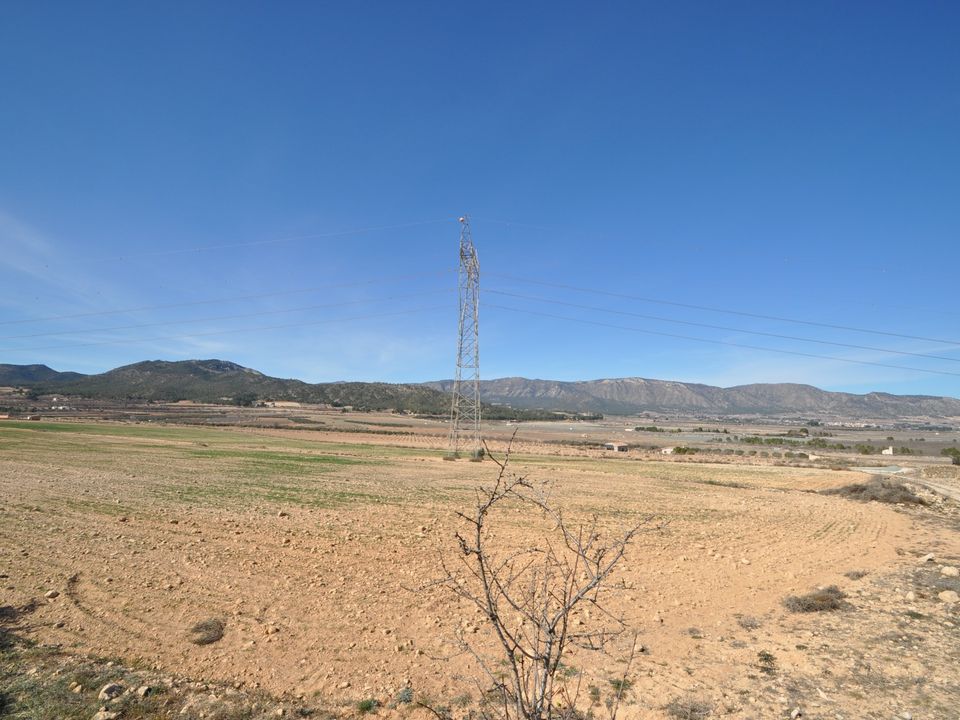 Helårsgrund i Salinas, Alicante - foto 5