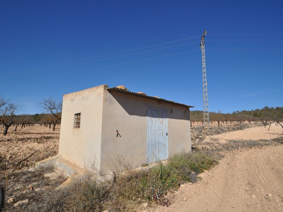 Helårsgrund i Monovar, Alicante - foto 1
