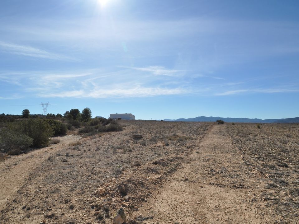 Helårsgrund i Monovar, Alicante - foto 1