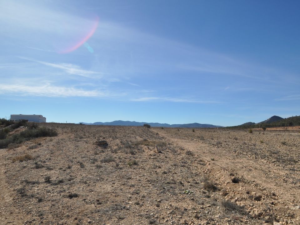 Helårsgrund i Monovar, Alicante - foto 2