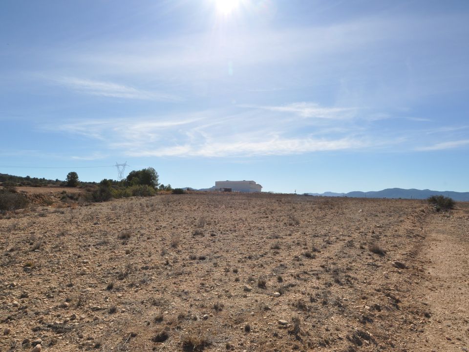 Helårsgrund i Monovar, Alicante - foto 3