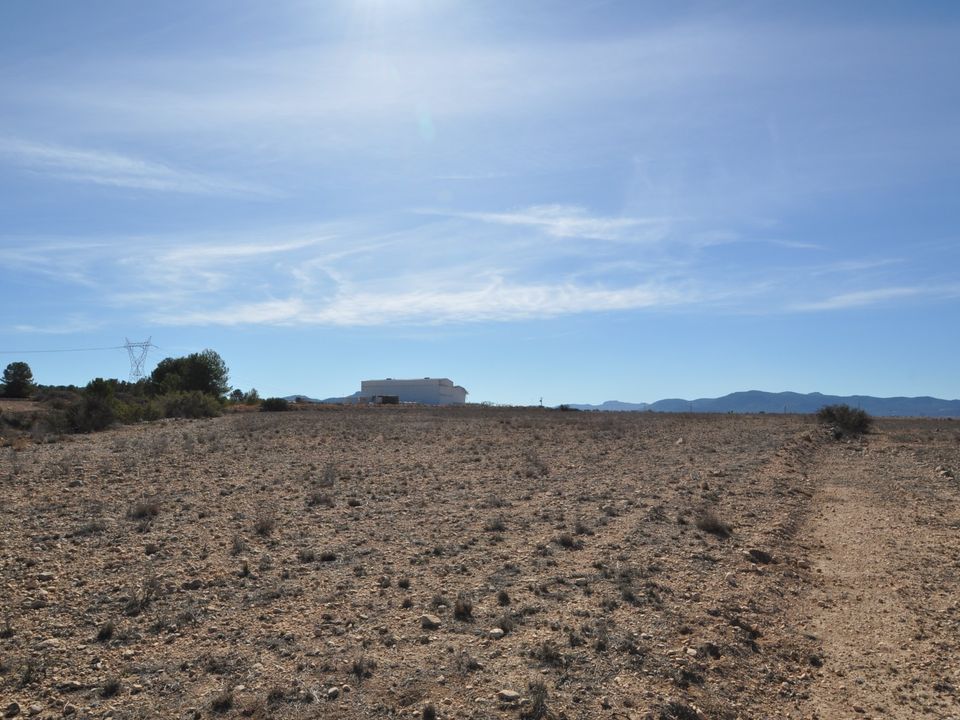Helårsgrund i Monovar, Alicante - foto 4