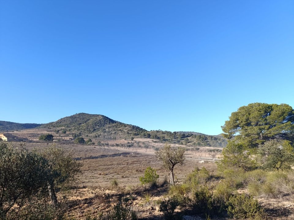 Tomt i Yecla, Murcia - bilde 2