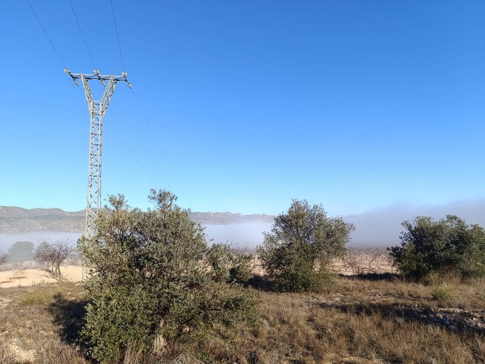 Tomt i Yecla, Murcia - bilde 3