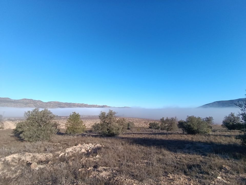 Tomt i Yecla, Murcia - bilde 5