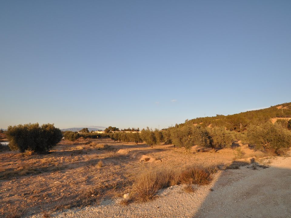 Helårsgrund i Pinoso, Alicante - foto 4
