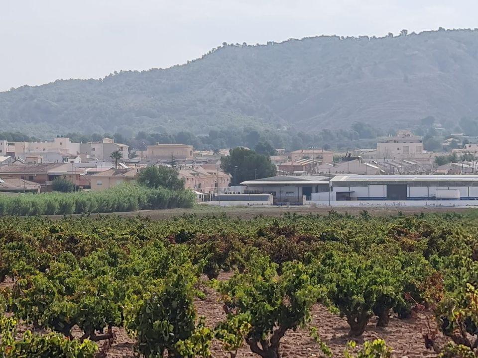 Helårsgrund i Pinoso, Alicante - foto 3
