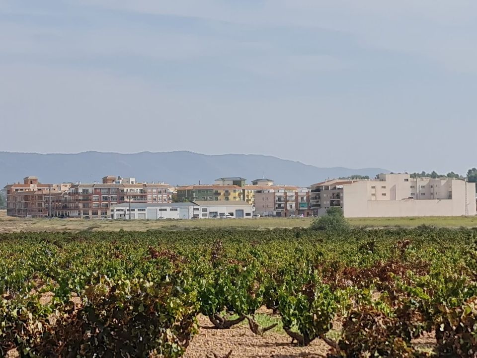 Helårsgrund i Pinoso, Alicante - foto 5
