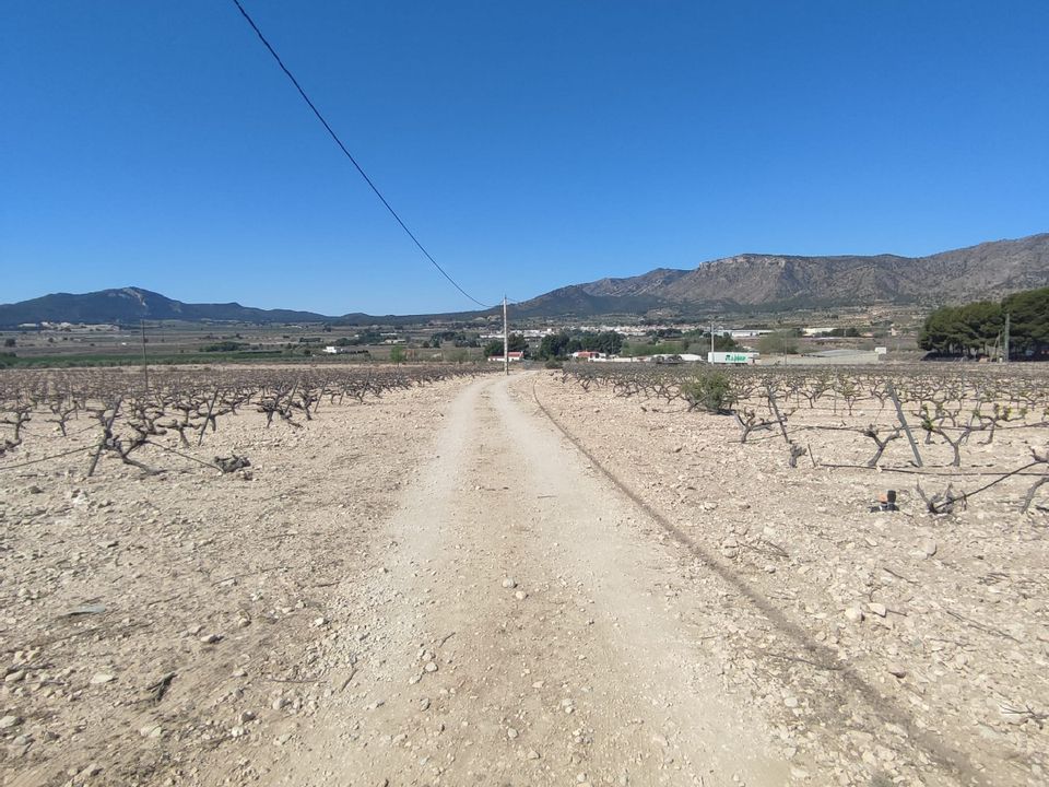Helårsgrund i Salinas, Alicante - foto 1