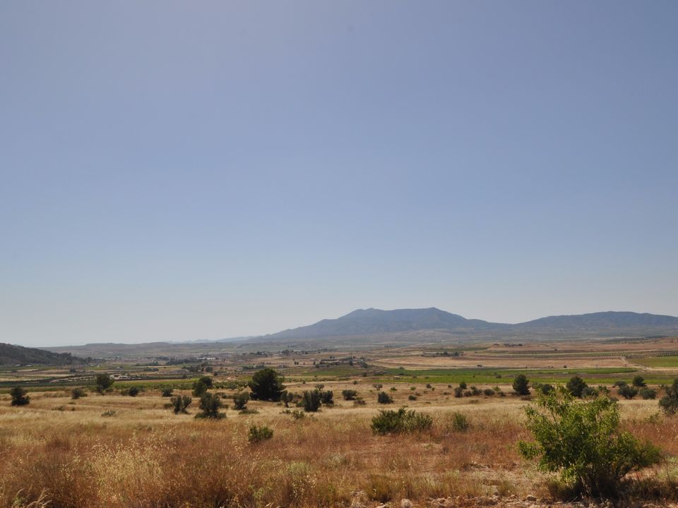 Helårsgrund i Pinoso, Alicante - foto 1