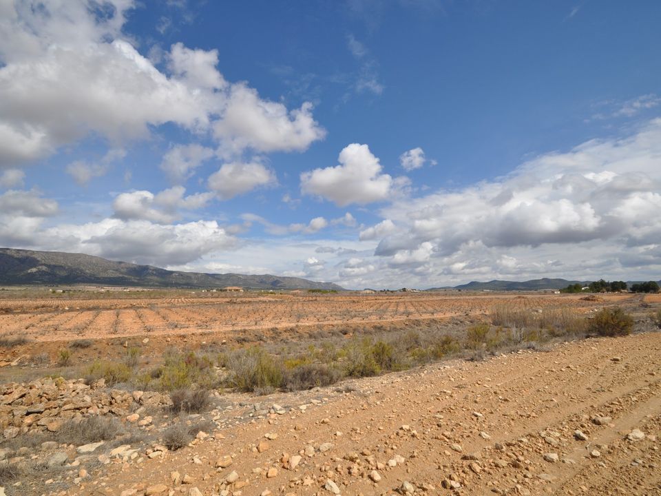 Helårsgrund i Pinoso, Alicante - foto 2