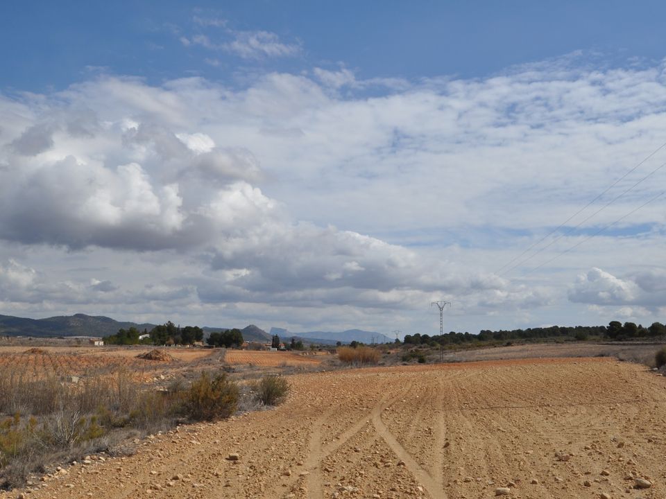Helårsgrund i Pinoso, Alicante - foto 5