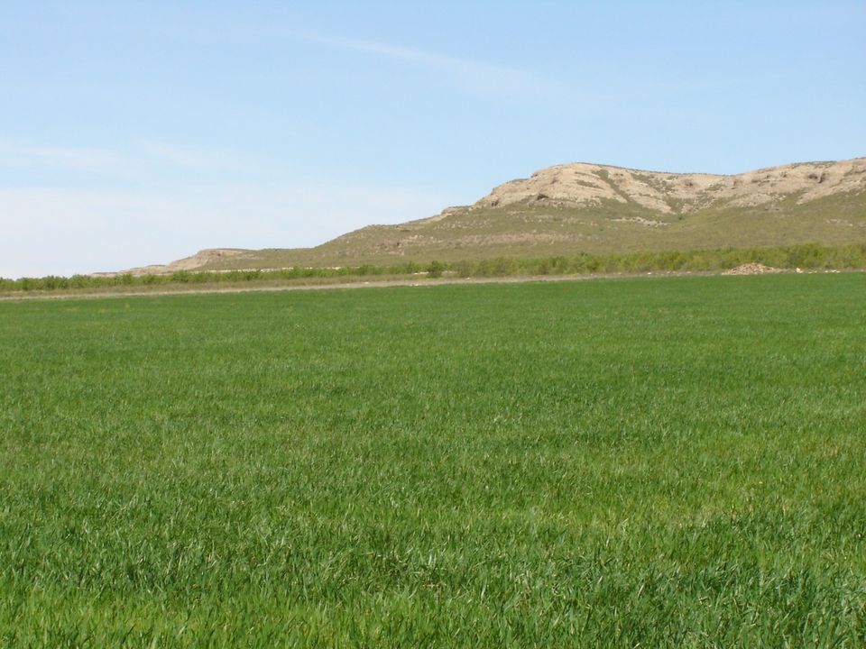 Terra a Yecla, Murcia - foto 1