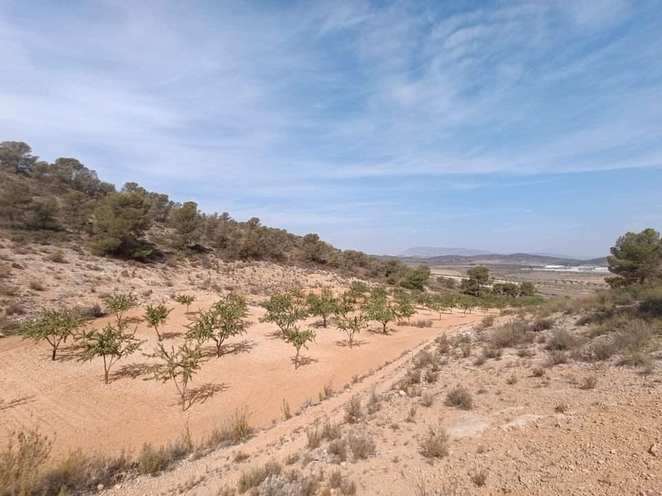 Helårsgrund i Abanilla, Murcia - foto 1