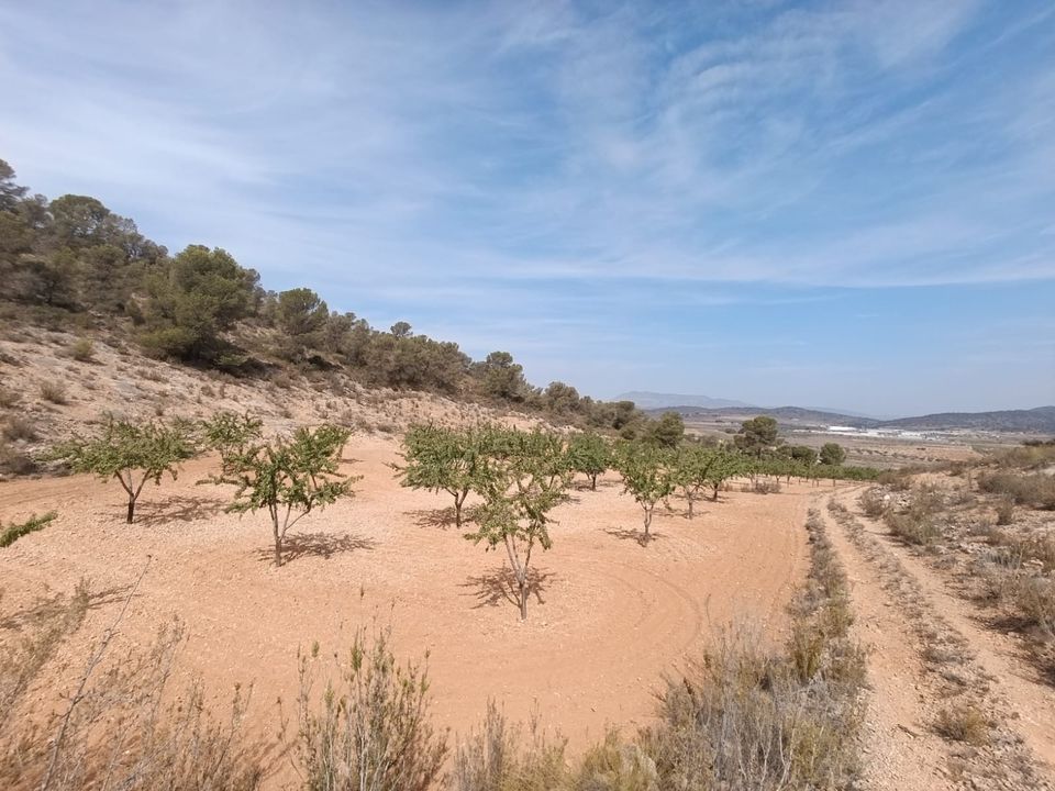 Helårsgrund i Abanilla, Murcia - foto 2