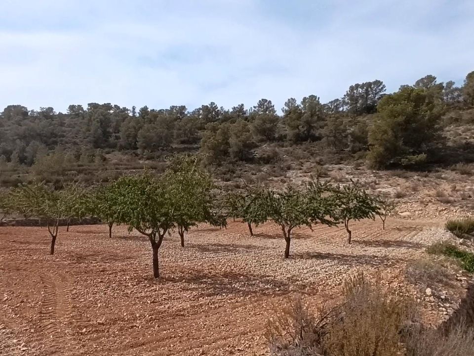 Helårsgrund i Abanilla, Murcia - foto 4
