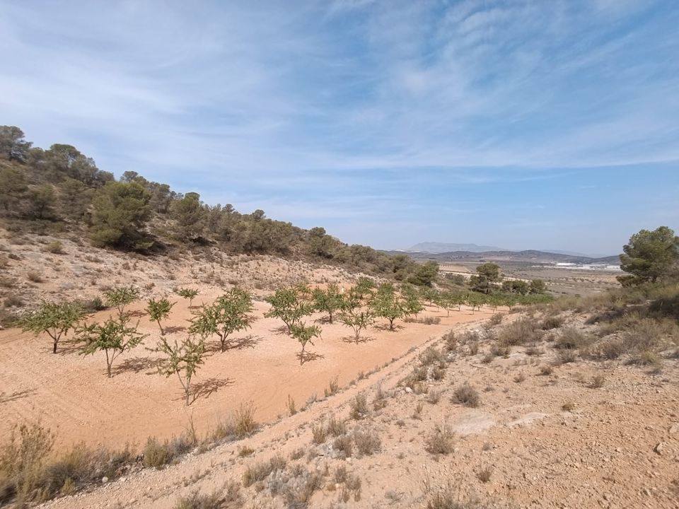 Helårsgrund i Abanilla, Murcia - foto 5