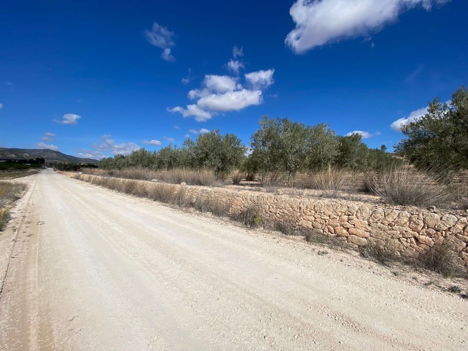 Helårsgrund i Pinoso, Alicante - foto 2