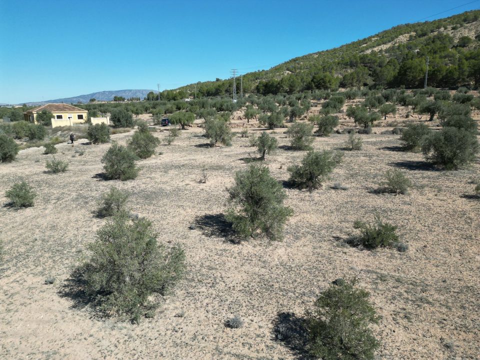 Helårsgrund i Pinoso, Alicante - foto 2