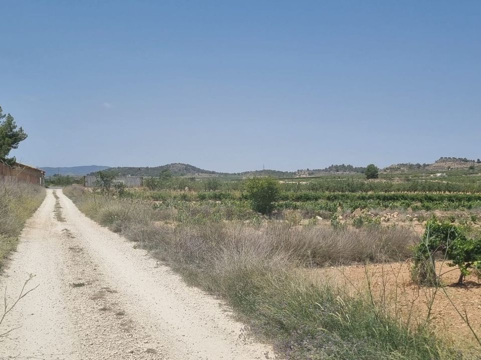 Helårsgrund i Pinoso, Alicante - foto 1