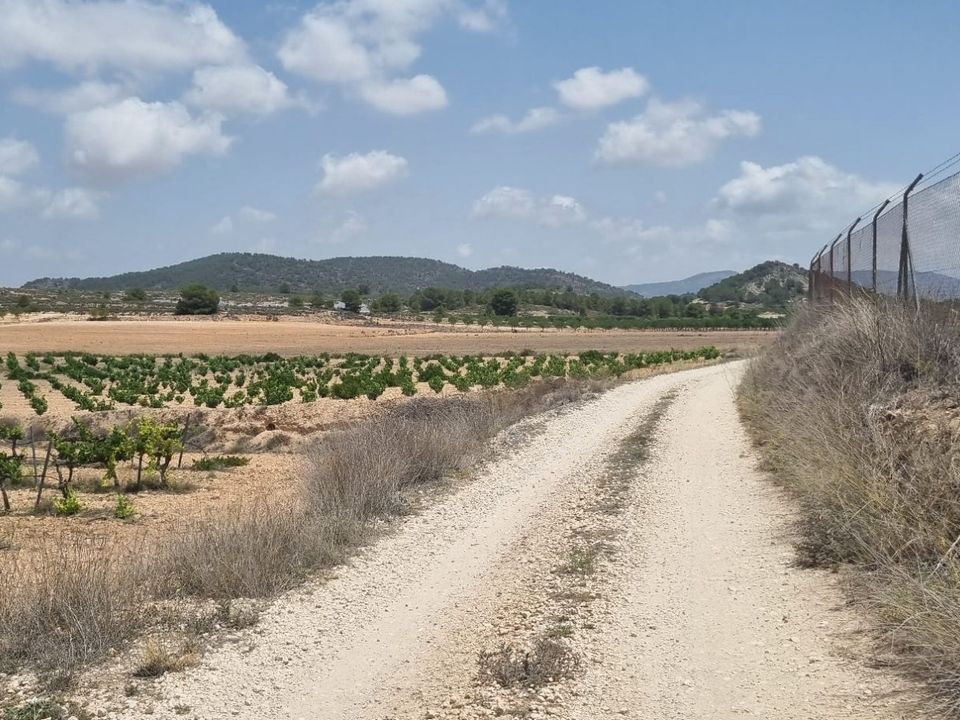 Helårsgrund i Pinoso, Alicante - foto 5