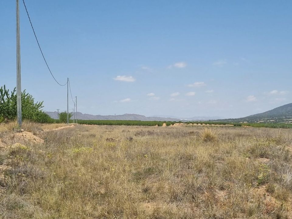 Helårsgrund i Yecla, Murcia - foto 2