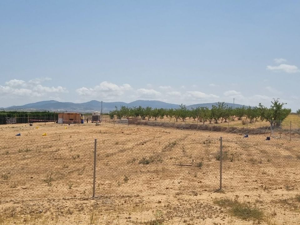 Helårsgrund i Yecla, Murcia - foto 3