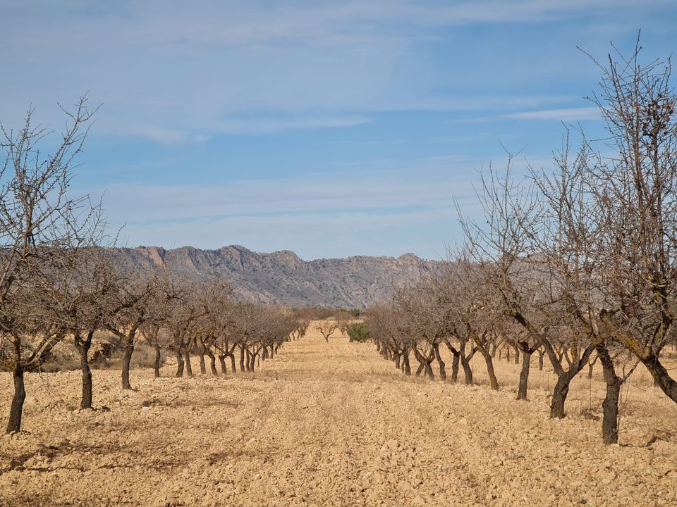 Helårsgrund i Raspay, Murcia - foto 1