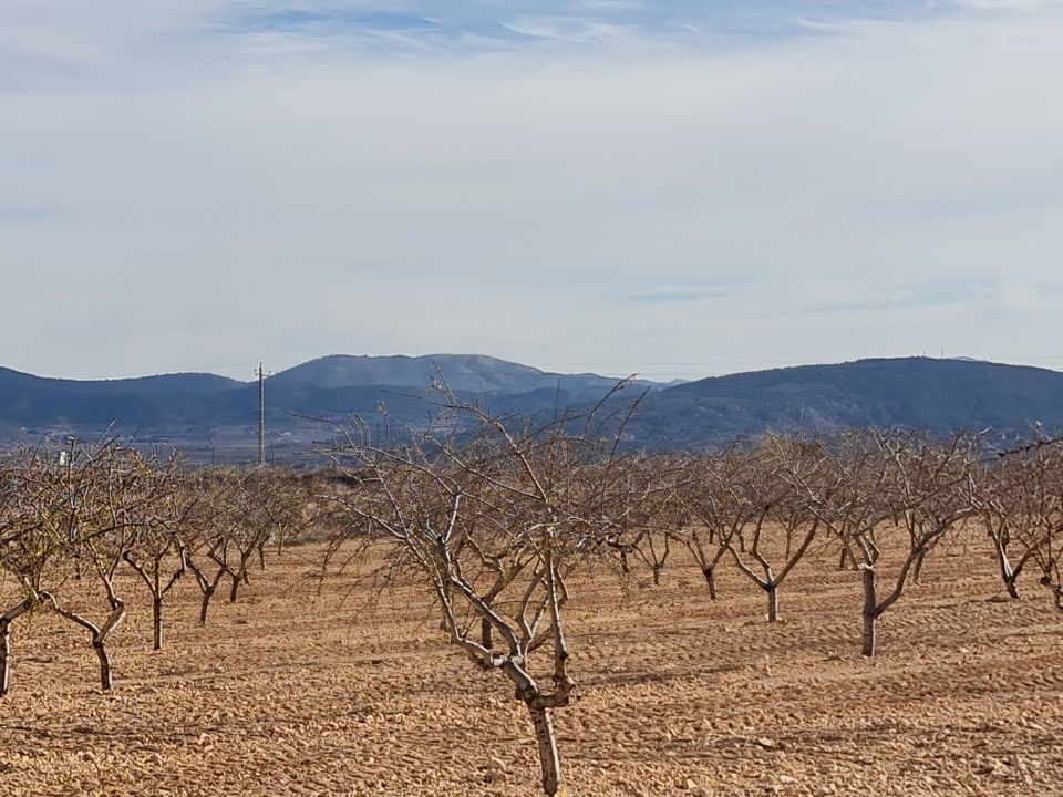 Helårsgrund i Raspay, Murcia - foto 2