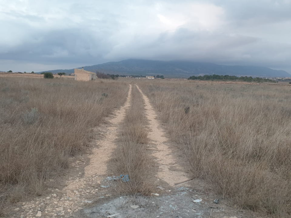 Helårsgrund i Pinoso, Alicante - foto 3
