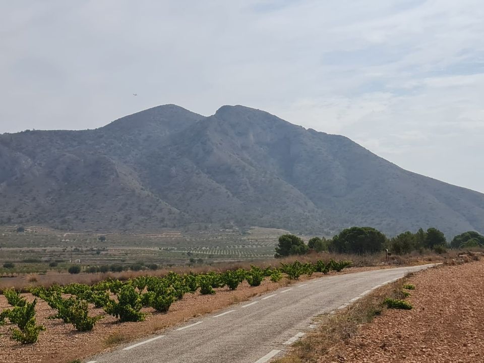 Tomt i Abanilla, Murcia - bilde 4
