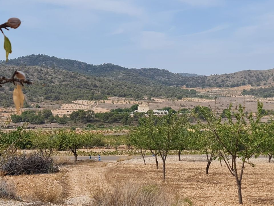 Tomt i Alguena, Alicante - bilde 1